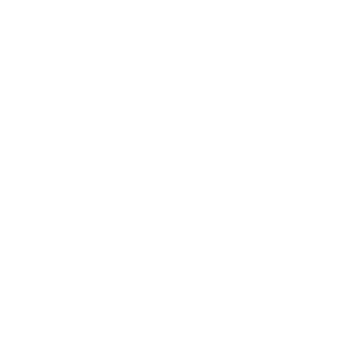 Pioneer of Feed – رائدات فيد